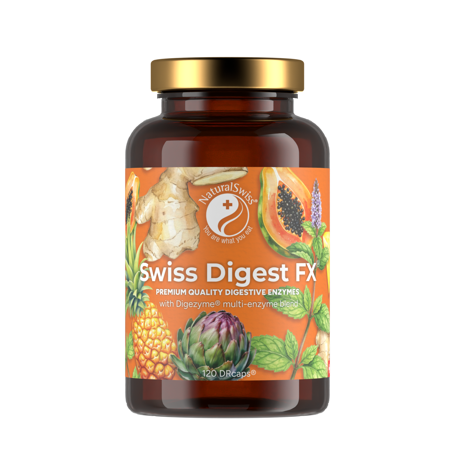 Swiss-digest-fx