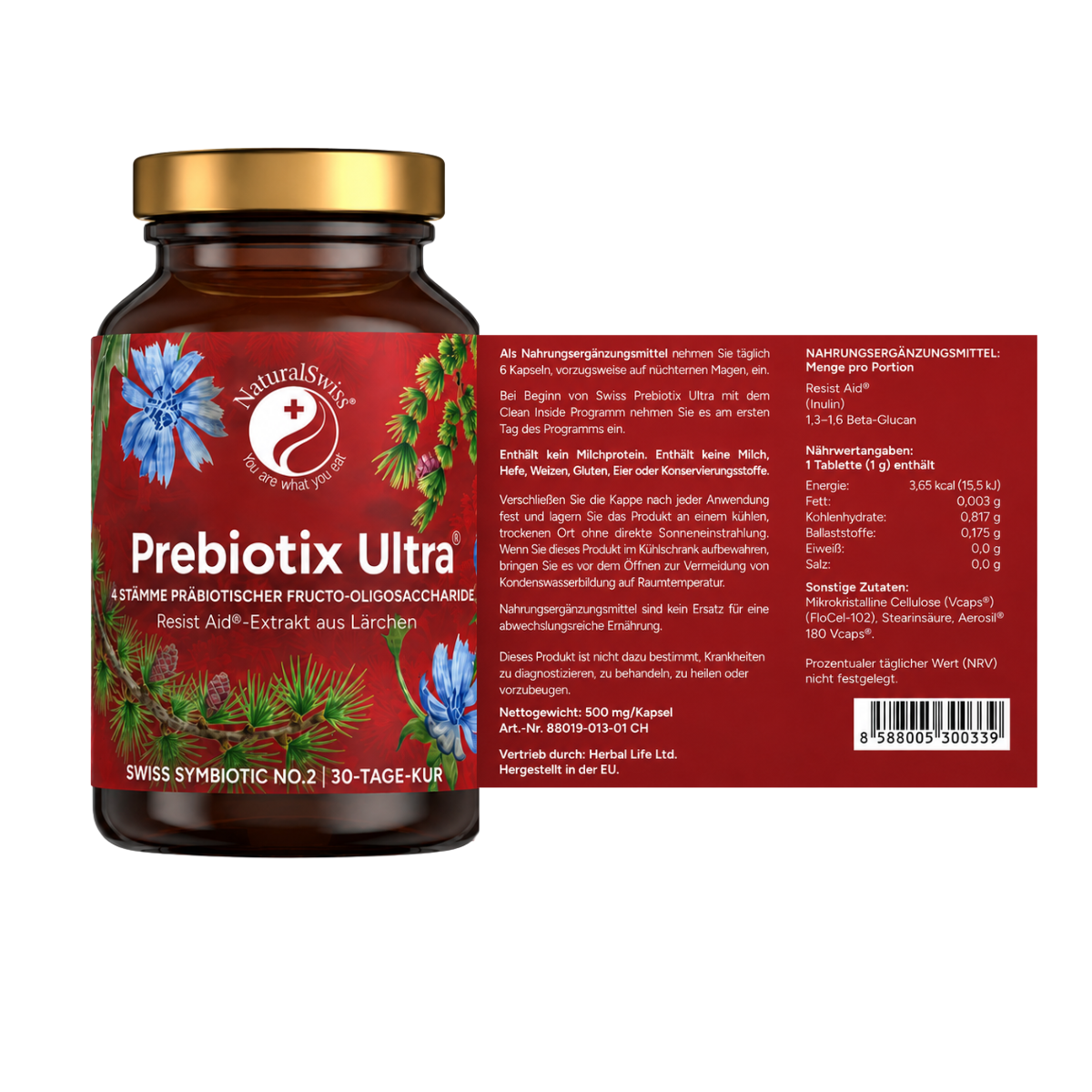 Synbiotikum – Bild 6