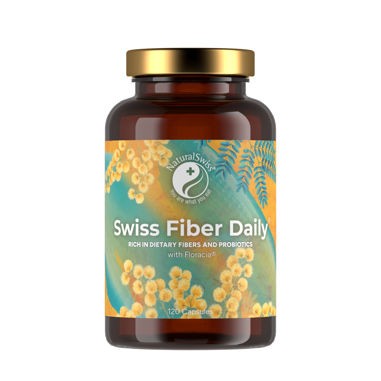 Swiss Fiber Daily