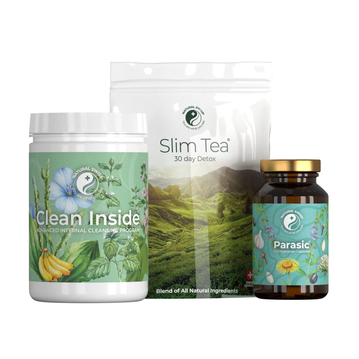 Clean Inside program